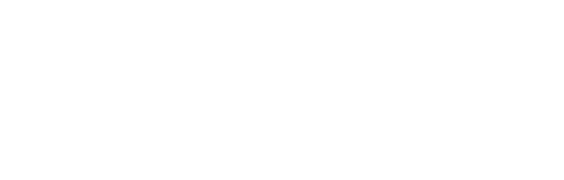 carpediemtechnology.com